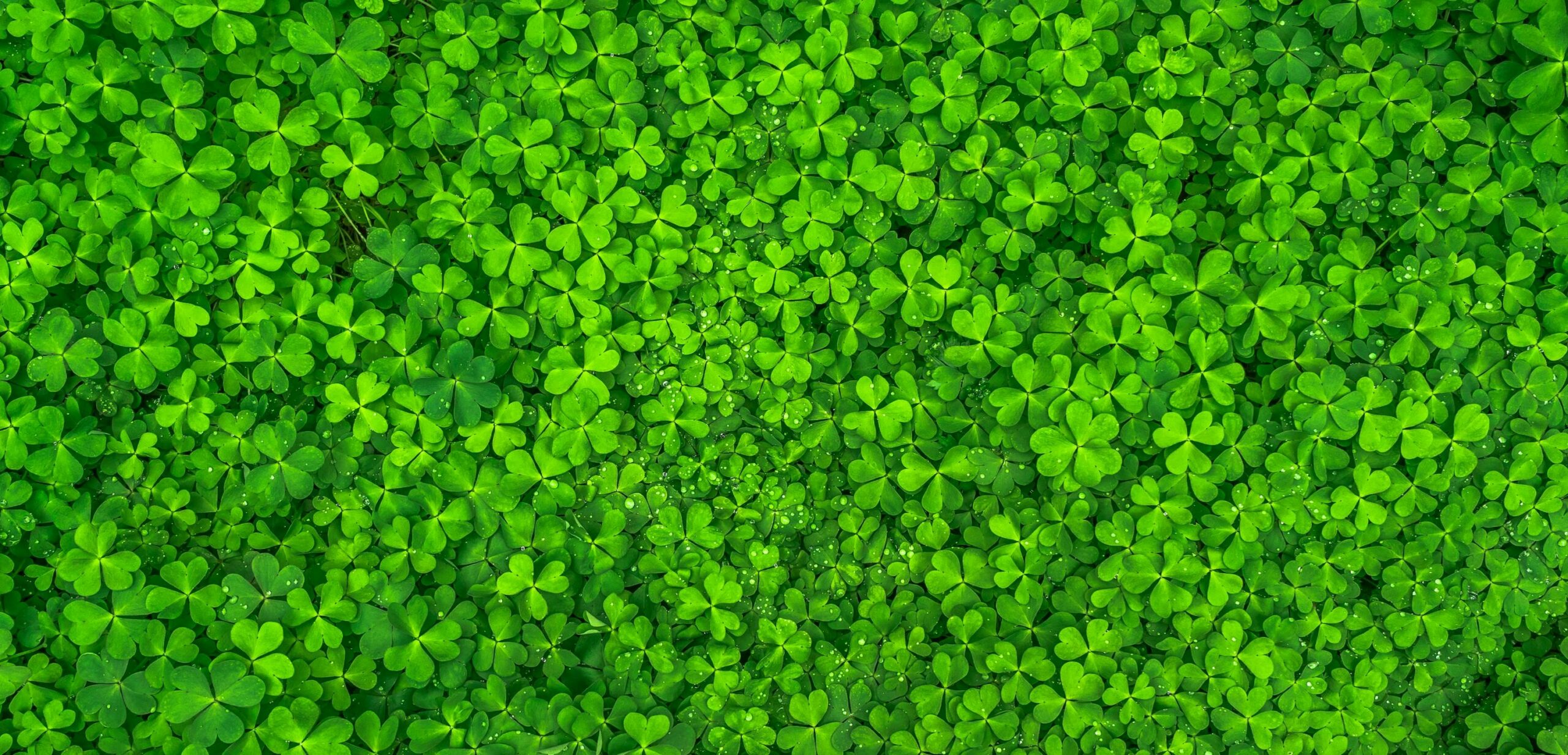 6 Lucky St. Patrick’s Day Activities For Kids